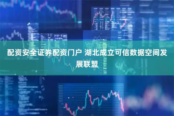 配资安全证券配资门户 湖北成立可信数据空间发展联盟