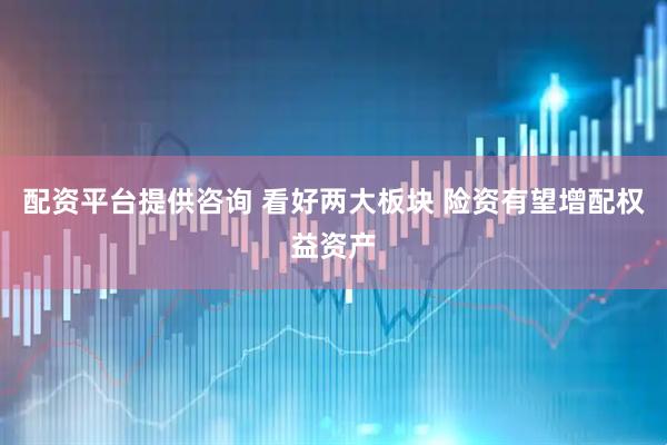 配资平台提供咨询 看好两大板块 险资有望增配权益资产