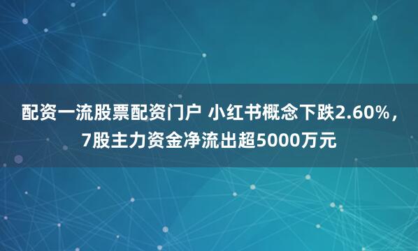 配资一流股票配资门户 小红书概念下跌2.60%，7股主力资金净流出超5000万元